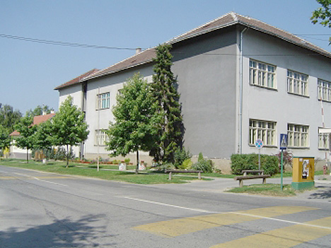 Osnovna škola
